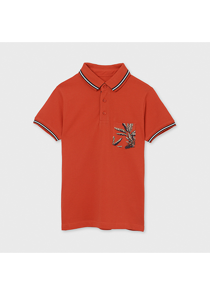 Polo Mayoral