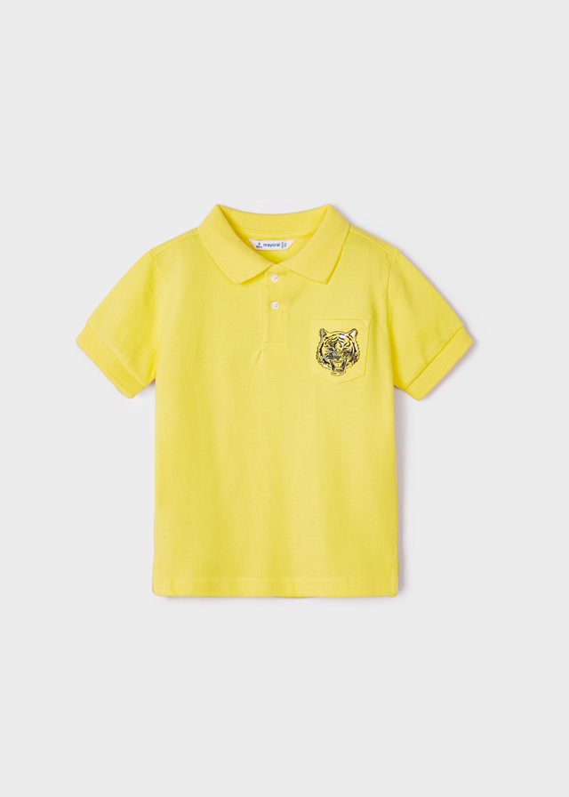Polo Mayoral